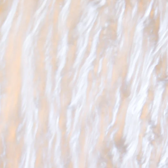 Butterfly Stanley Tag