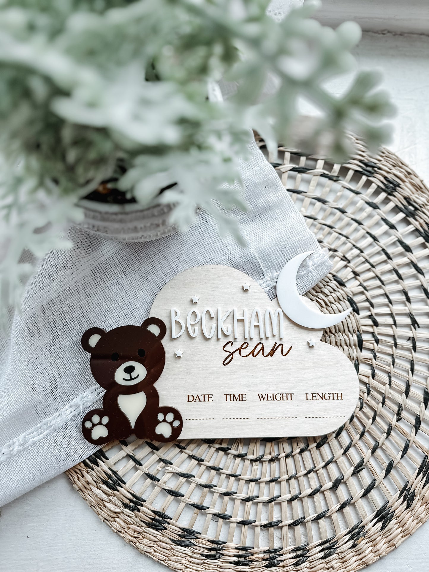 Baby Bear Birth Announcement