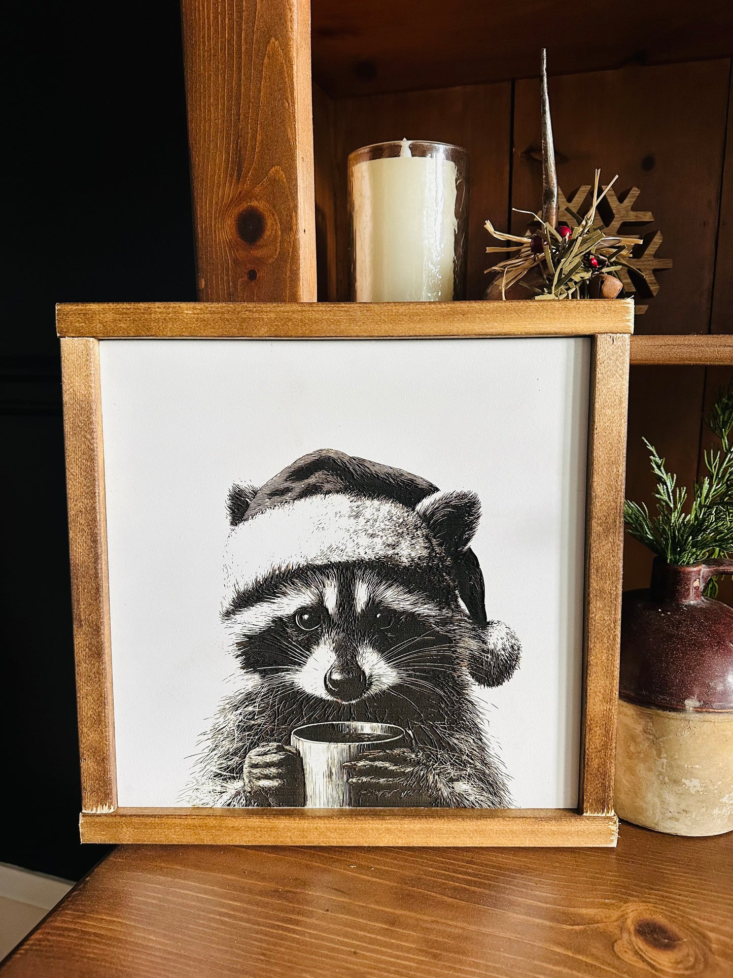 'Rocky' the Raccoon