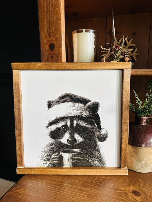 'Rocky' the Raccoon